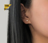NEW! 14K Solid Gold Super Tiny Piercing 20G, 6mm Post