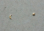 10K Solid Gold Tiny Convex Star Crescent Moon Studs Earrings Real Gold - TGE016