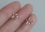 14K Solid Gold Stud Earrings, Rose Gold Thin, Shiny Star, Rose Gold - TGE41003