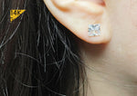 14K Solid Gold White CZ Square Earrings - TGE42006