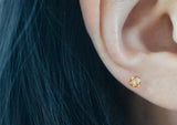 10K Solid Gold Tiny White CZ Star Stud Earrings Real Gold - TGE117