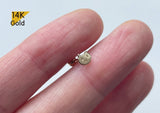 14K Solid Gold Cat End Barbell Piercing 18G, Fish Available Real Gold