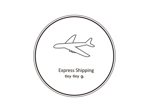 Shipping Upgrade Options